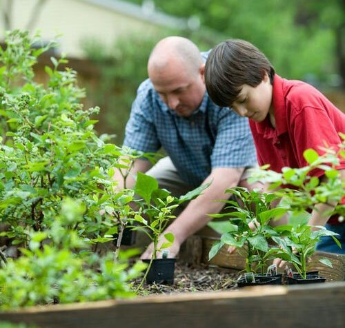 Adventist school instructor teaching students gardening skills as an emphasis on practical manual training