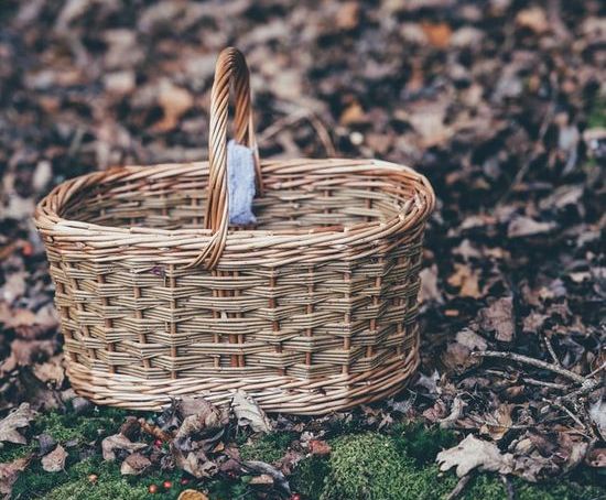 A woven basket similar to the one Moses' mother would've hid him in