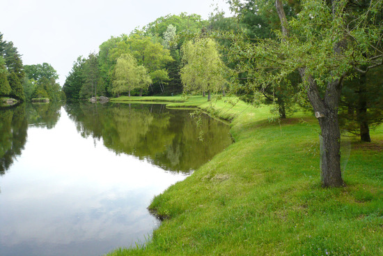 A pond surrounded by lush greenery, a small glimpse of the new earth after the thousand years