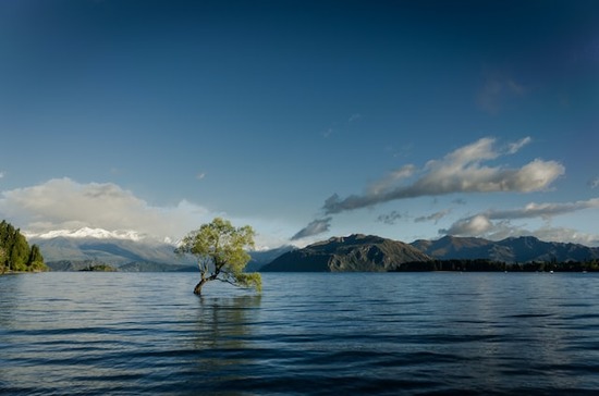 Water flooding a valley and surrounding a tree, similar to how the flood in Noah's time covered the earth